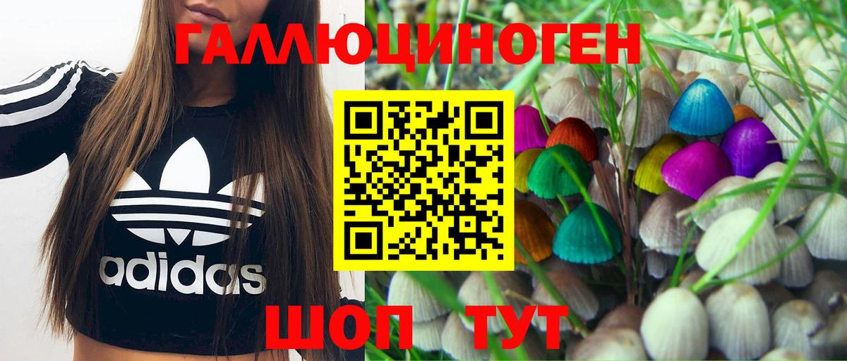 Кирово-Чепецк  Псилоцибиновые грибы мицелий  Вход с VPN  Галлюциногенные грибы прущие грибы 